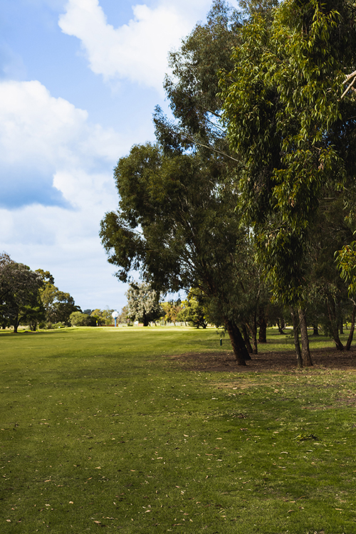 View of a Fairway at Kialla Golf